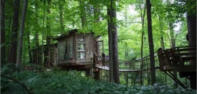 要协调好森林康养发展和森林保护的关系