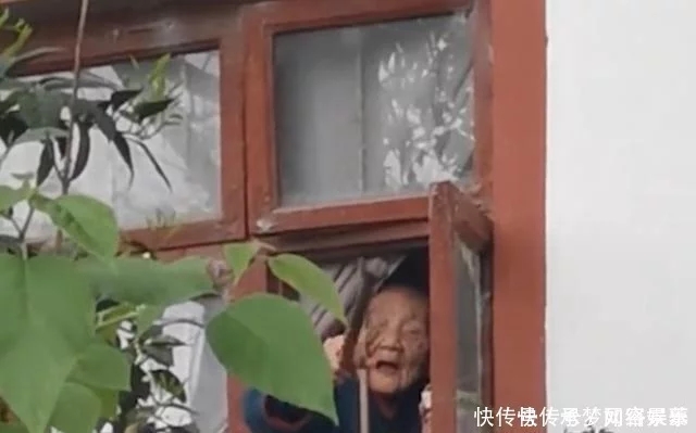 养老院一奶奶趴窗口讨要食物，路人隔墙递苹果后心生疑窦