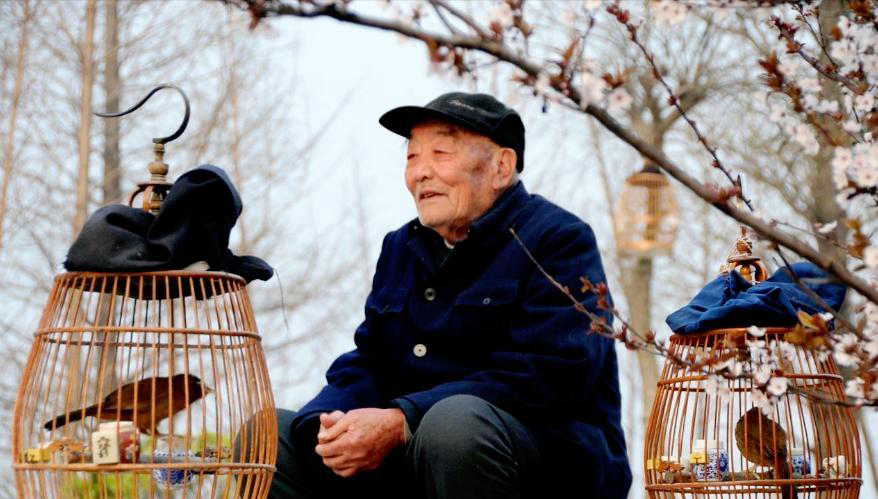 为什么“没条件的老人，不适合住养老院”，70岁大爷说出真心话